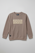 Boys Interlock Brown Pullover