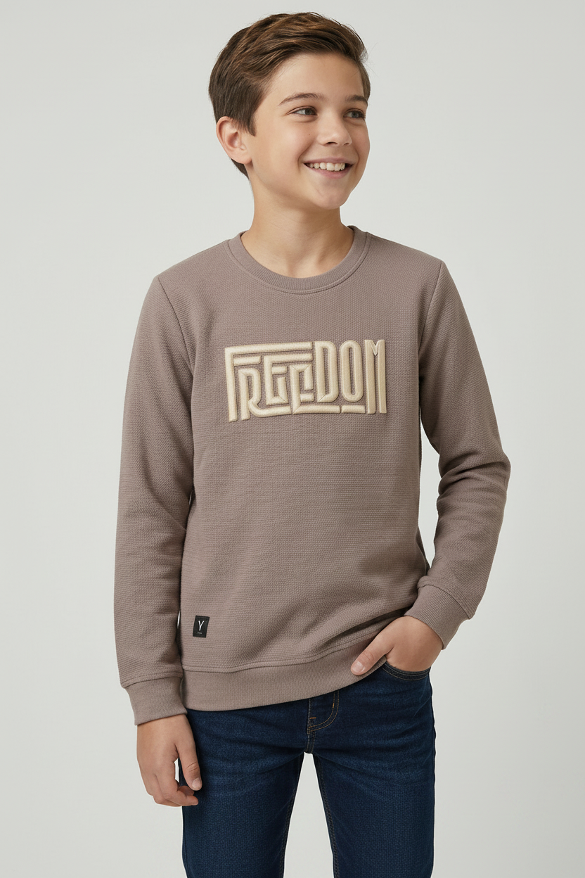 Boys Interlock Brown Pullover