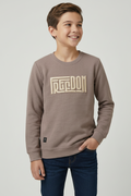 Boys Interlock Brown Pullover