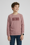 Boys Interlock pink colour pullover