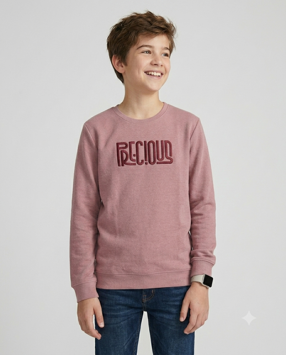 Boys Interlock pink colour pullover