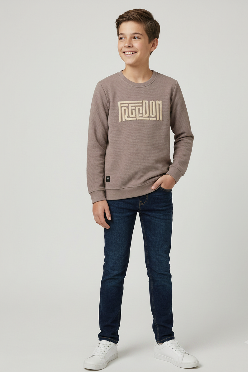 Boys Interlock Brown Pullover